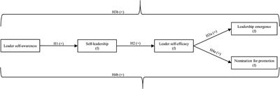 Take a “Selfie”: Examining How Leaders Emerge From Leader Self-Awareness, Self-Leadership, and Self-Efficacy